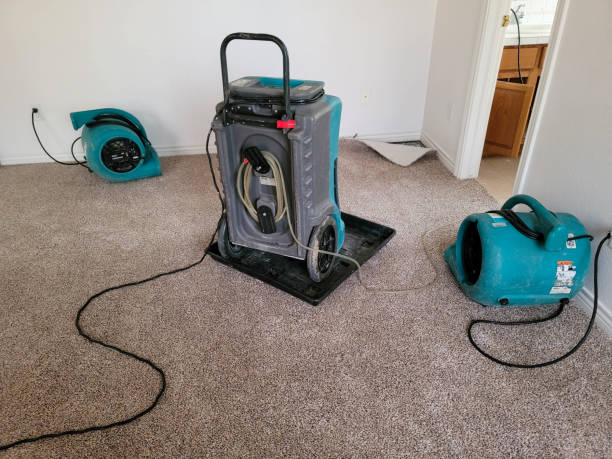 Best Fire Damage Restoration  in Hico, TX