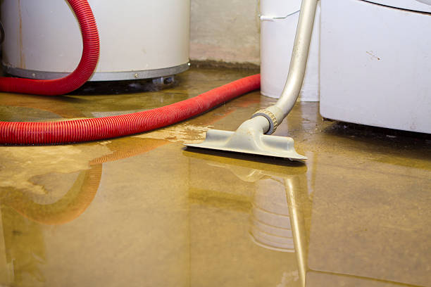  Hico, TX Water damage restoration Pros