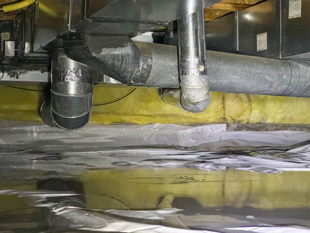 Best Flood damage cleanup  in Hico, TX
